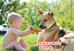 广州代妈如何做好孕前计划