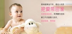 排卵正常为什么不怀孕？